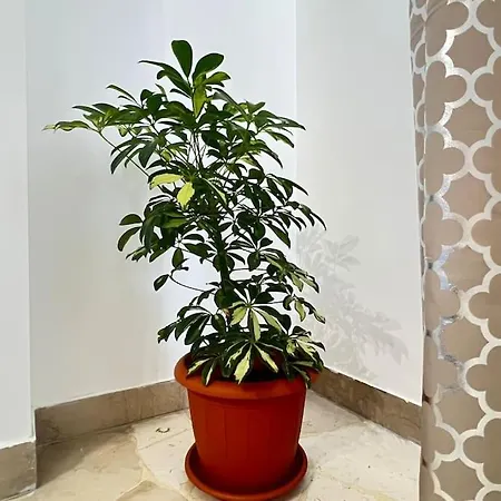 Apartment New And Elegant On The Navigli Netflix E